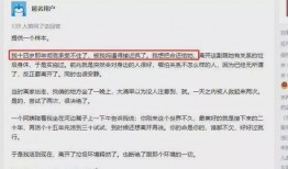 胡某宇事件爆料视频全集,视频全集深度解析